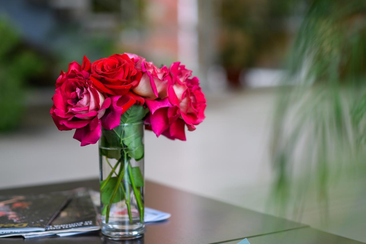 Hotel Torontal Timisoara Ngoại thất bức ảnh